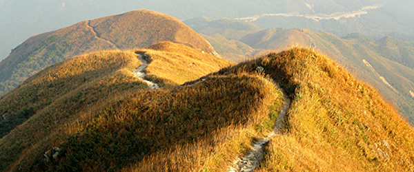 Kopffoto Psychotherapie